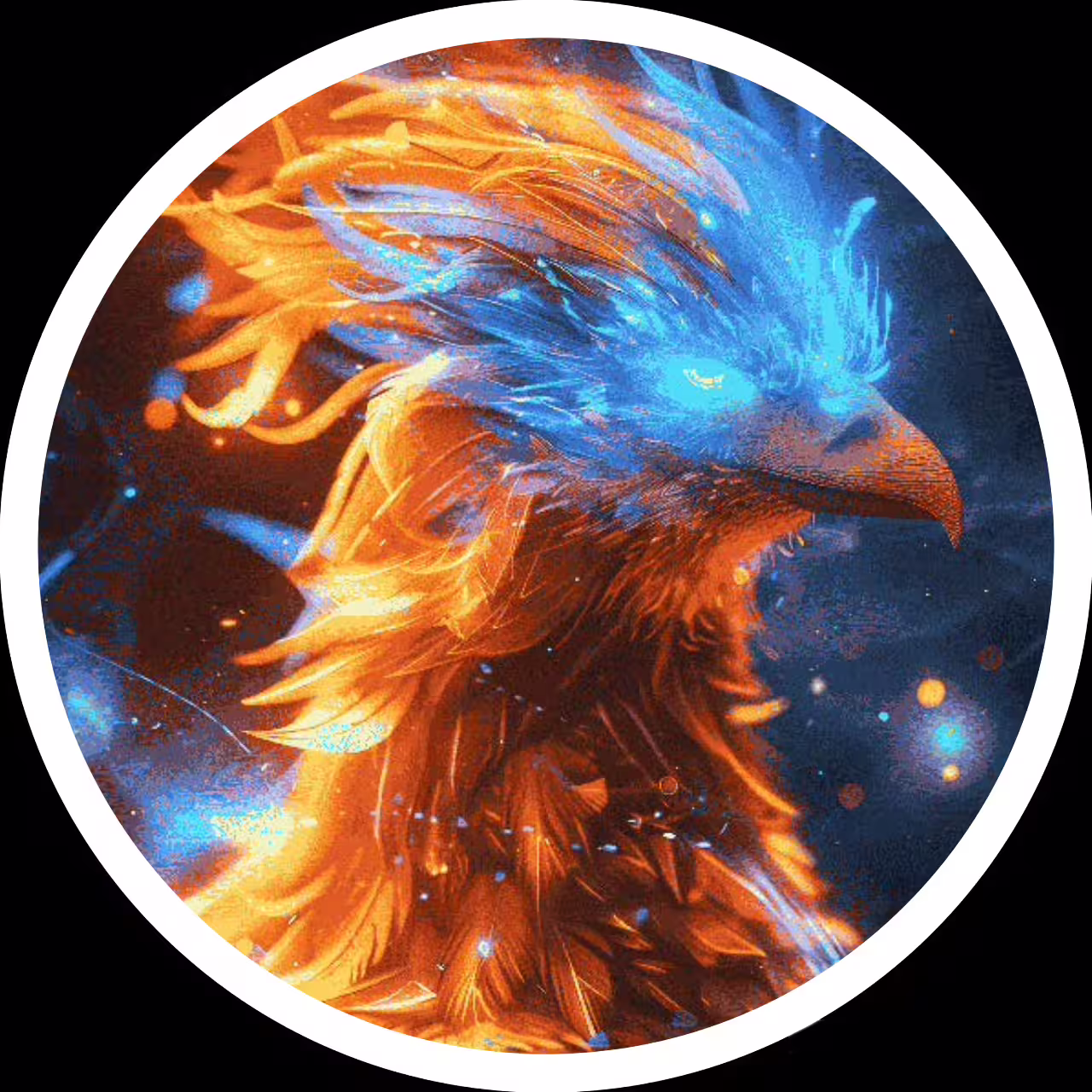 Foto de ●🐦‍🔥𝗙 Ê 𝗡 𝗜 𝗫🐦‍🔥●